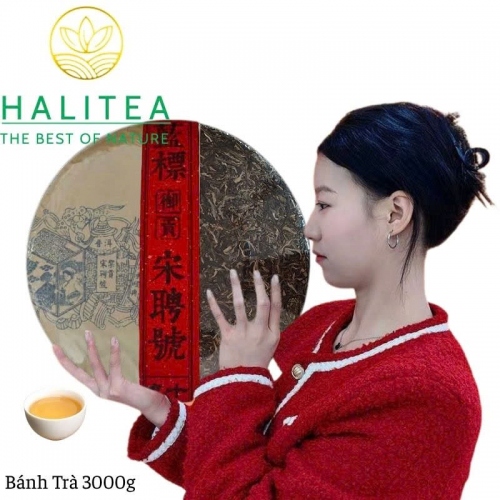 Trà Phổ Nhĩ Sống (Song Pin Hao) 2015 Phiên Bản Cống Trà – Bánh 3000g