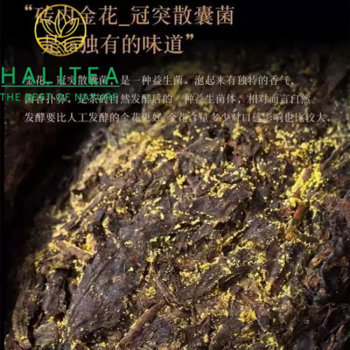 Trà Phục Gạch Kim Hoa An Hóa 2015 – Kim Hoa Phục Trà 318g