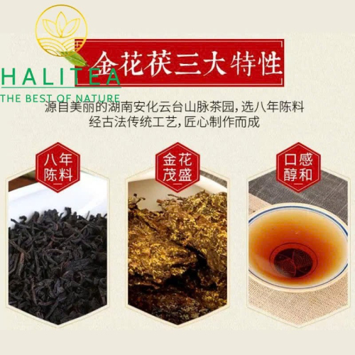 Trà Phục Gạch Kim Hoa An Hóa 2015 – Kim Hoa Phục Trà 318g
