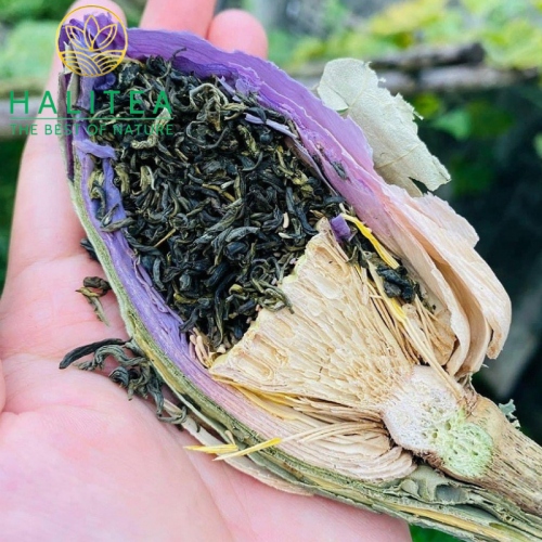 Trà Ướp Sen Tây Hồ Sấy Thăng Hoa Hộp Giấy