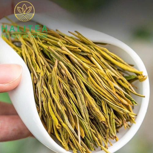 Trà Xanh Hoàng Kim Nha Chiết Giang Hộp Thiếc 100gr